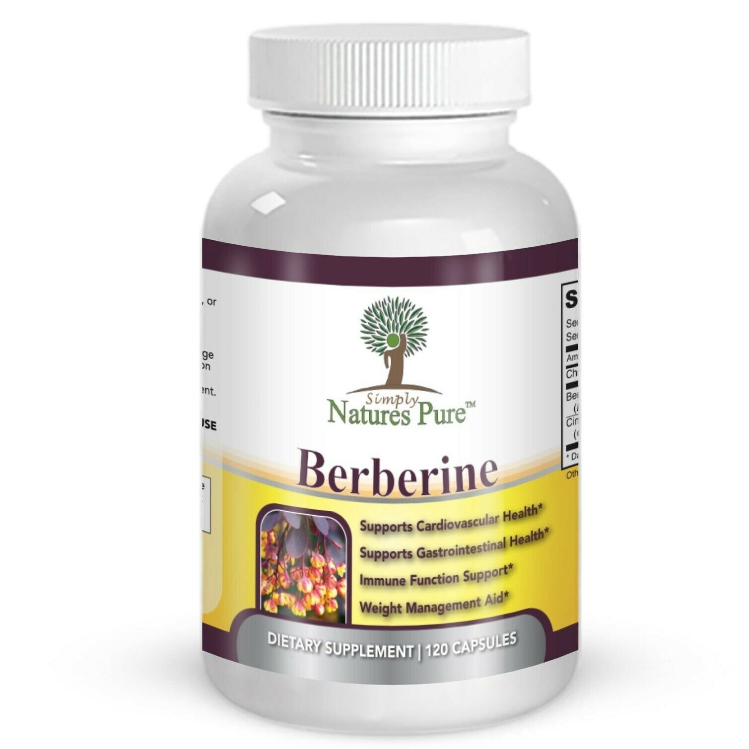 Premium Berberine HCl 500mg – 120 capsules – cardiovascular gastrointestinal …