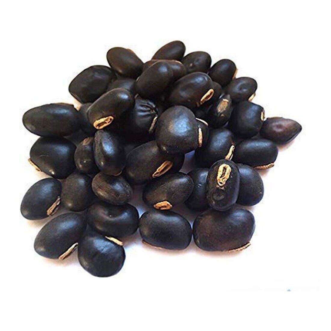 Black Kaunch Seeds Mucuna Pruriens Indian Velvet Bean Konch Beej (100gm) 3.5oz