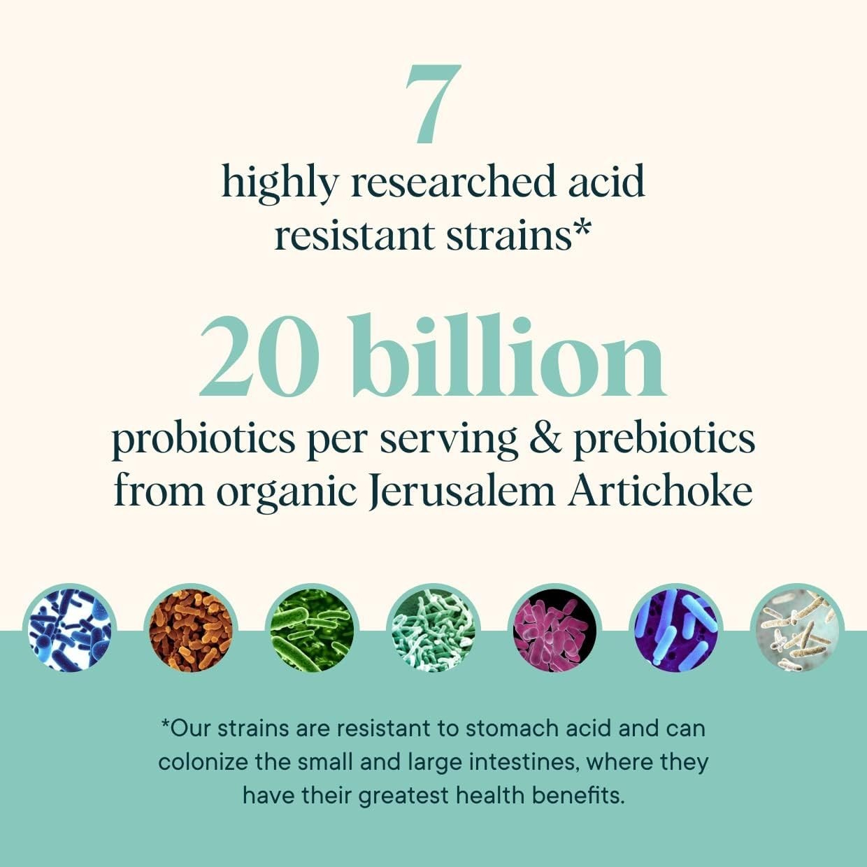 Ora Organic Prebiotic and Probiotic Powder Supplement – 20 Billion Probiotics, 7