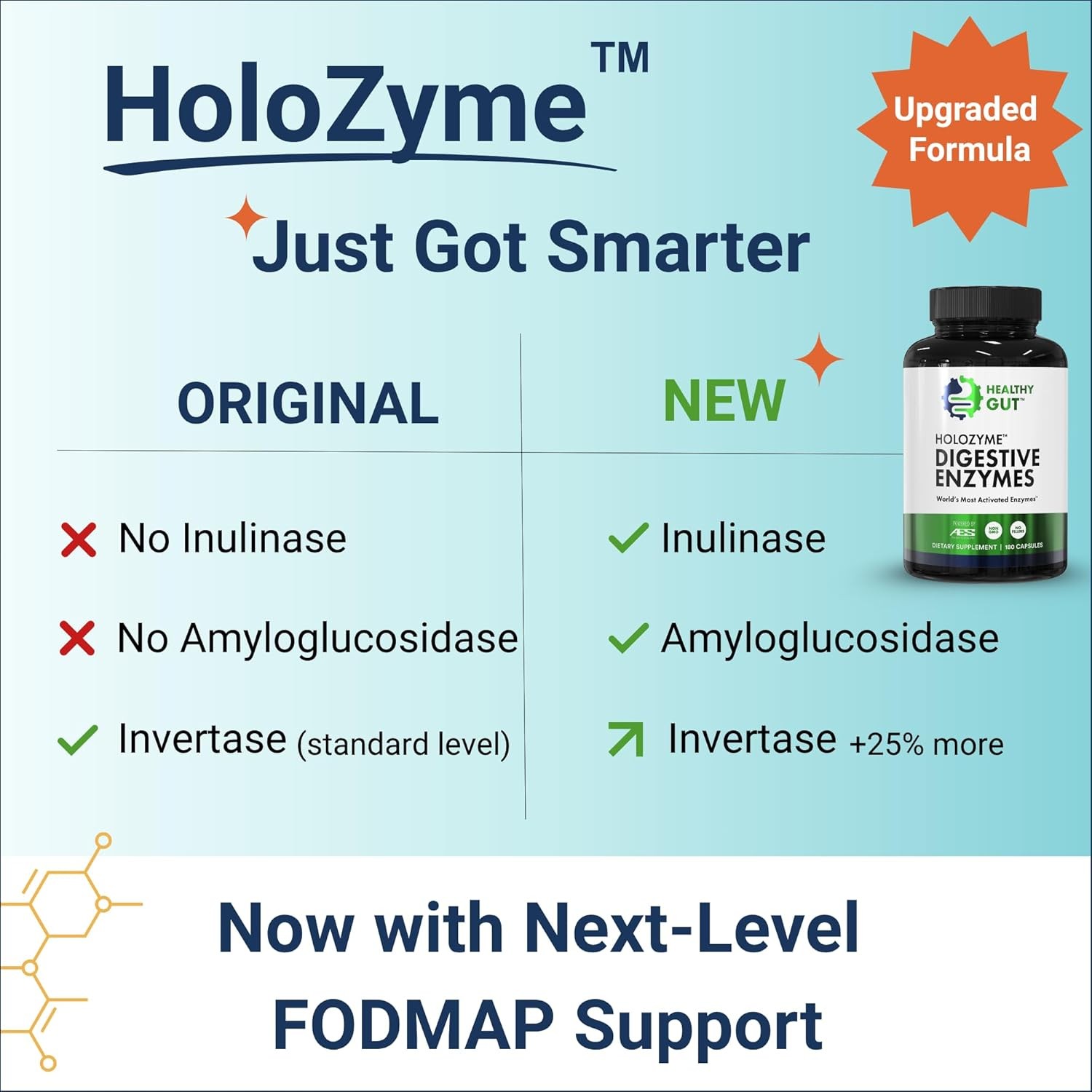 Digestive Enzymes-Healthy Gut HoloZyme Max Strength, 15 Servings-30 Count