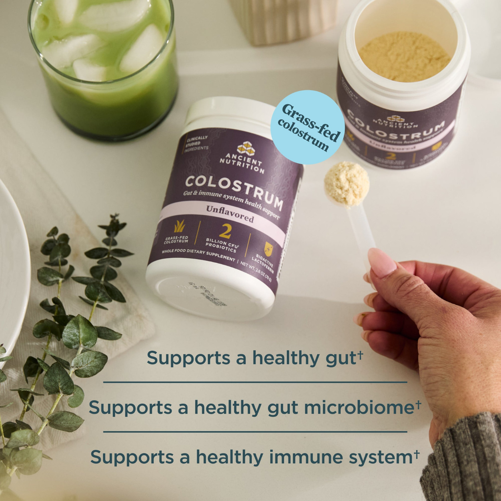 Ancient Nutrition Colostrum Powder Gut & Immune System Health Unflavored 2.8 oz