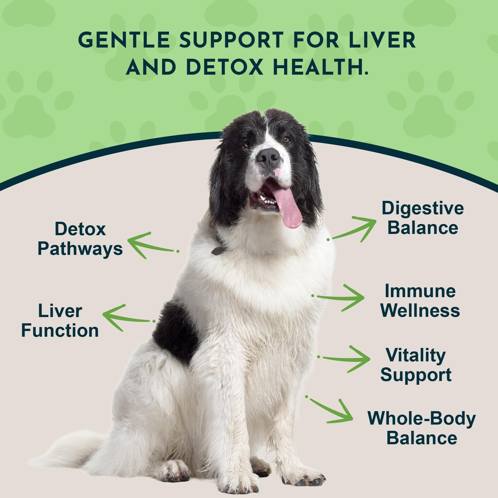 Milk Thistle for Dogs & Cats – Liver Support, Milk Thistle 150mg, Silymarin, …