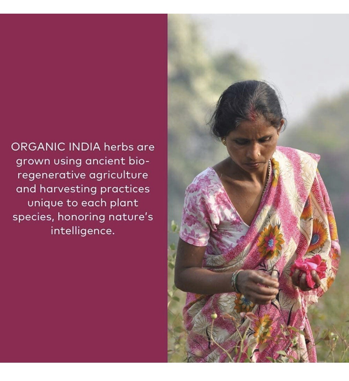 12x Case Pack – Organic India Ashwagandha Healthy Stress 90 Ct, Exp 2/2025