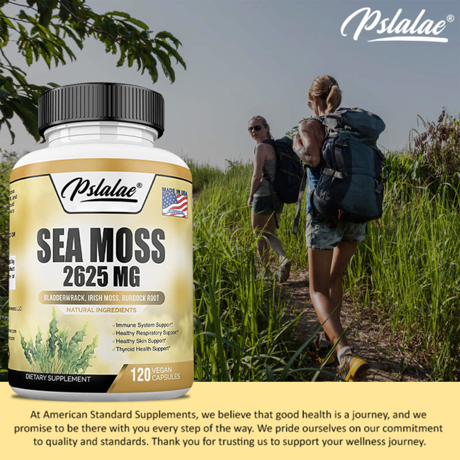 Sea Moss Capsules 2625mg – Irish Moss & Burdock Root – Thyroid & Immune Support