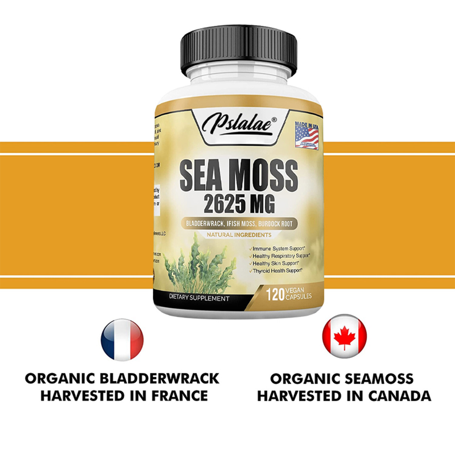 Sea Moss Capsules 2625mg – Irish Moss & Burdock Root – Thyroid & Immune Support