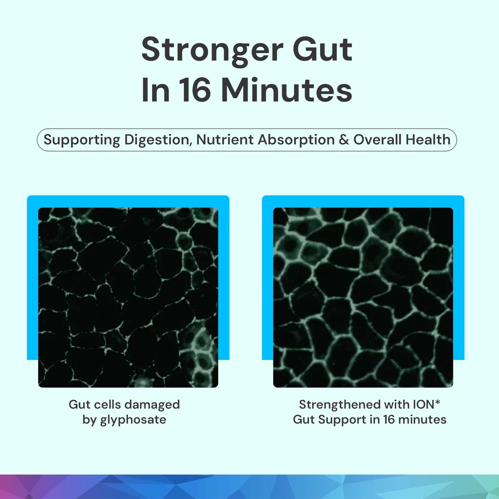 ION* Intelligence of Nature Gut Support Liquid | Promotes Digestive Wellness,…