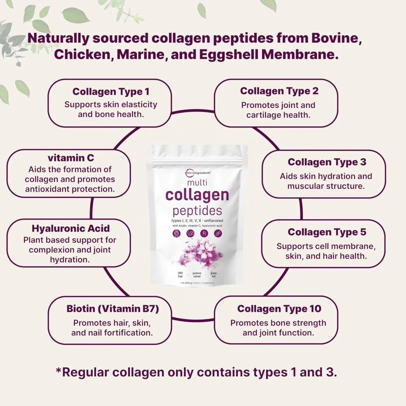 Micro Ingredients Multi Collagen Peptides Powder – Types I,II,III,V,X, 1lb