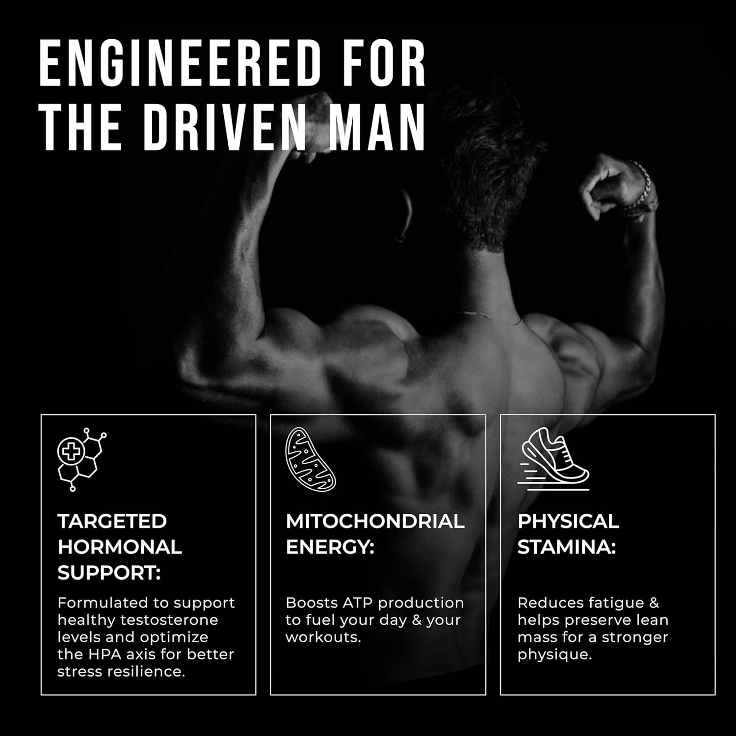 3x ERODUS Men Herbal Supplement Powder Ashwagandha Energy Vitality Support