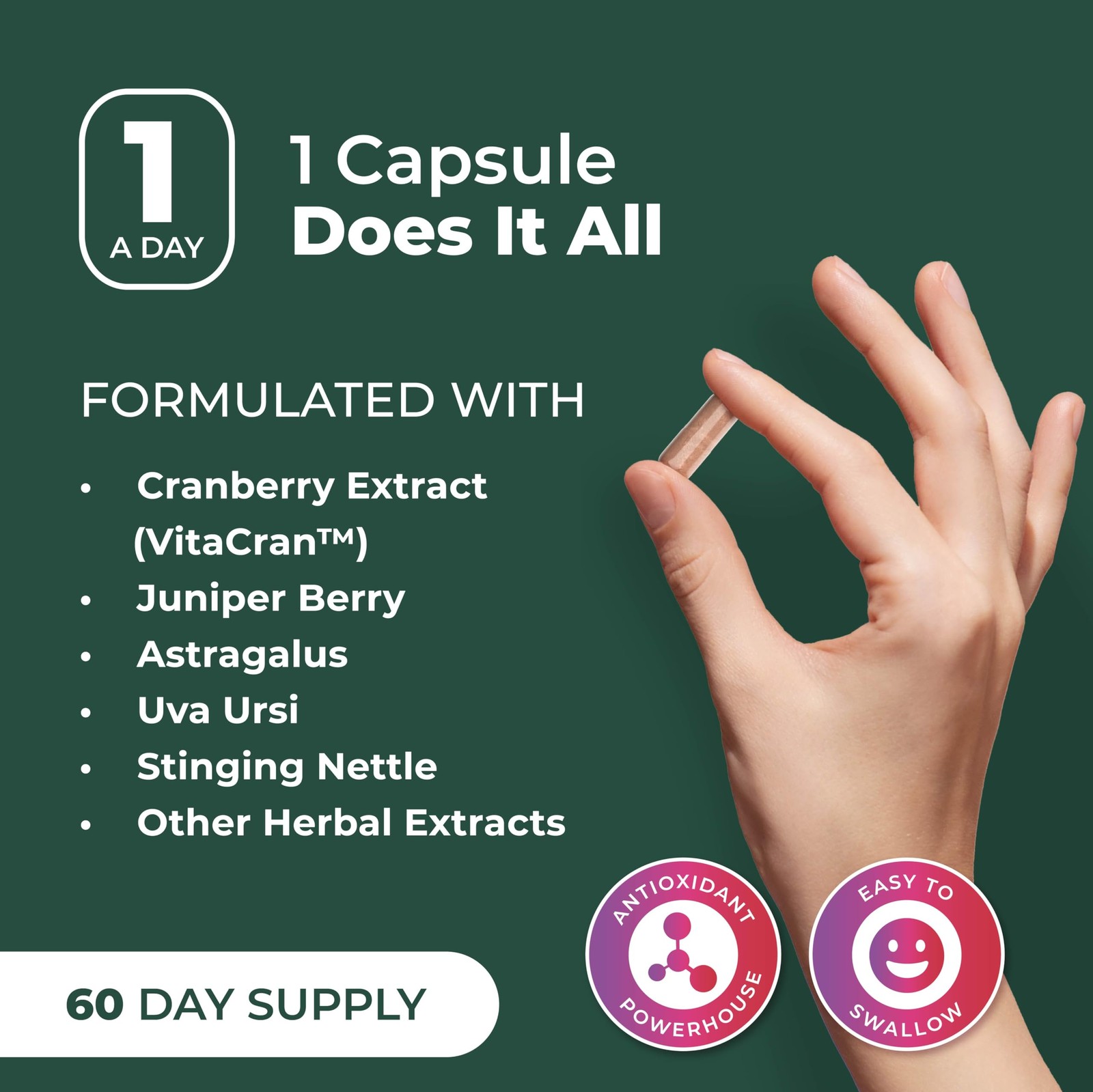 PurePremium Kidney Support Supplement – Cleanse 60 Count (Pack of 1)