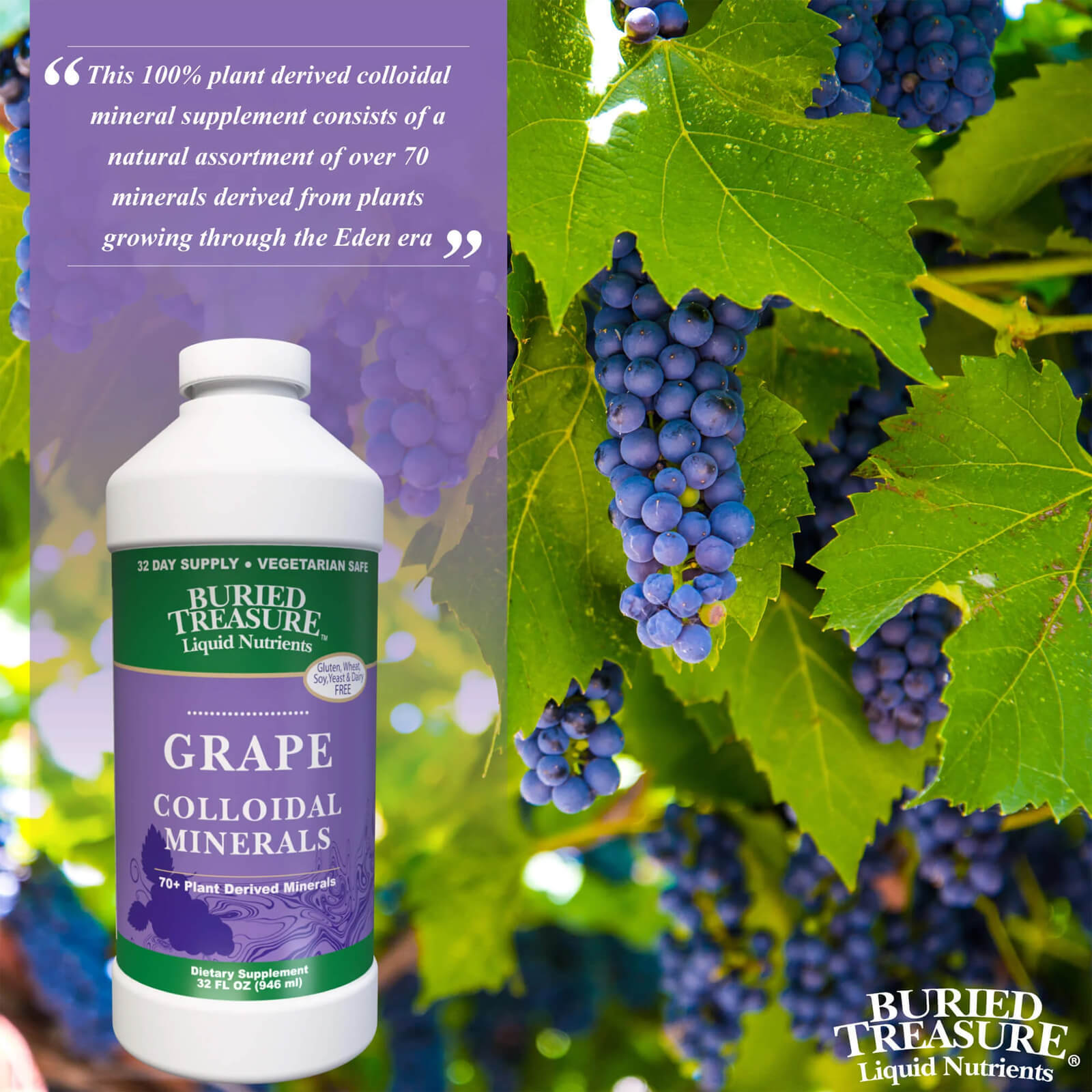 Buried Treasure Concord Grape Minerals 32 fl oz FRESH MADE IN USA
