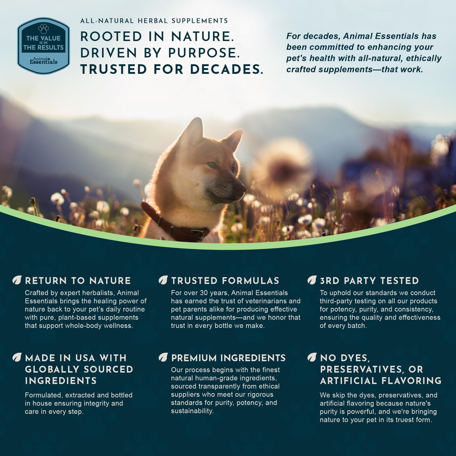 Milk Thistle for Dogs & Cats – Liver Support, Milk Thistle 150mg, Silymarin, …