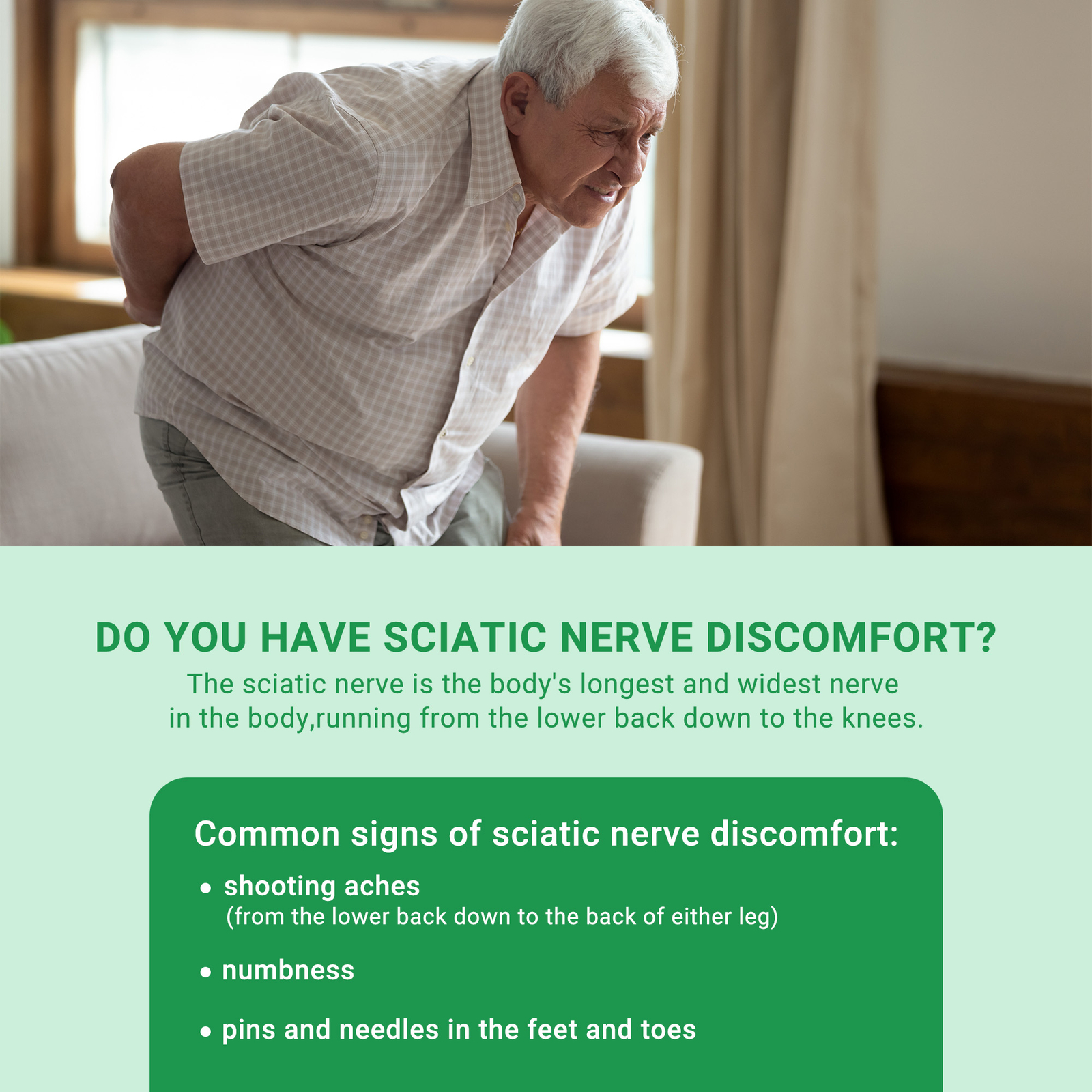 Sciatic Nerve Formula -for Sciatic Nerve Support, Pain Relief, Anti-inflammatory