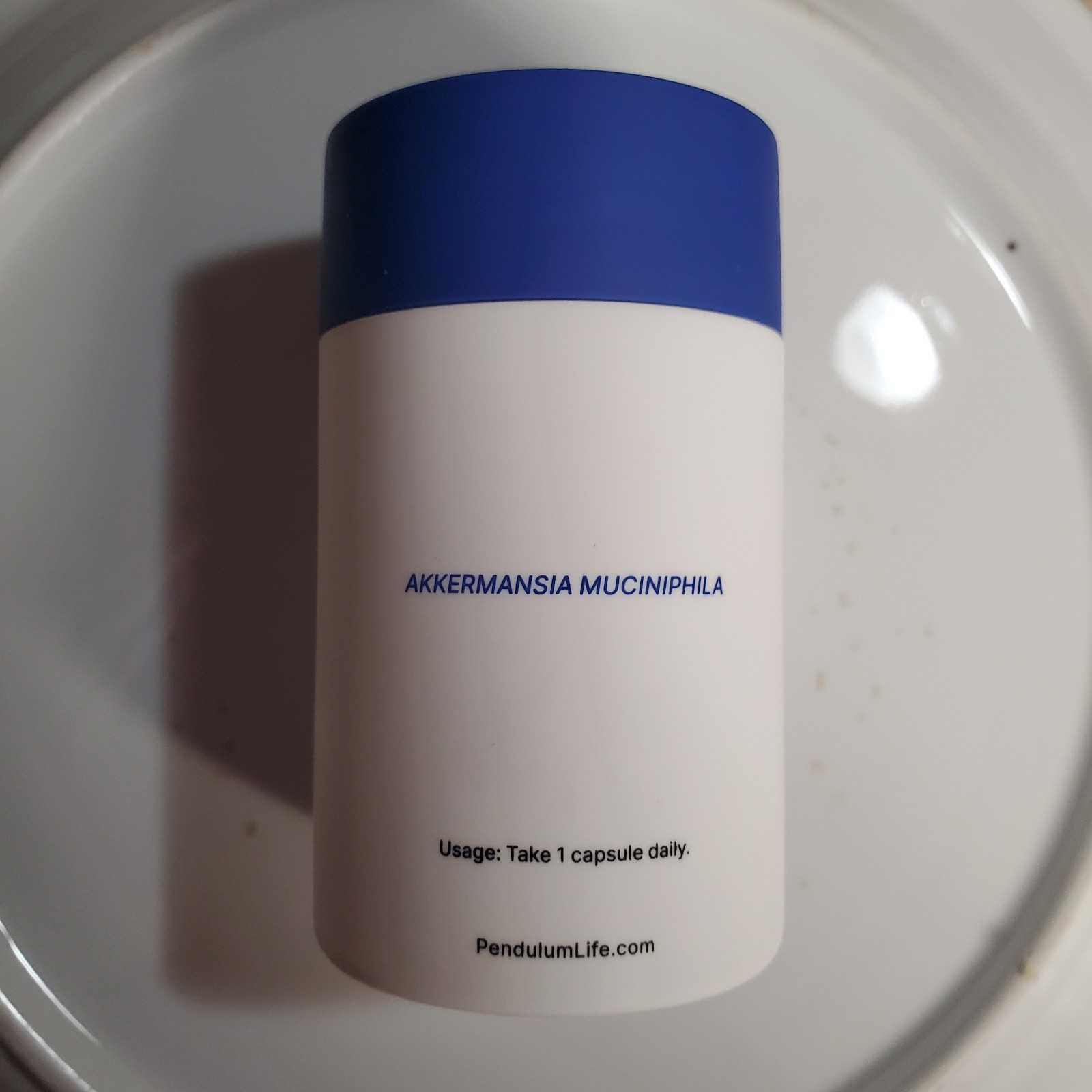 Pendulum Akkermansia 30 Capsules EXP 01/2028 Replenish keystone strain