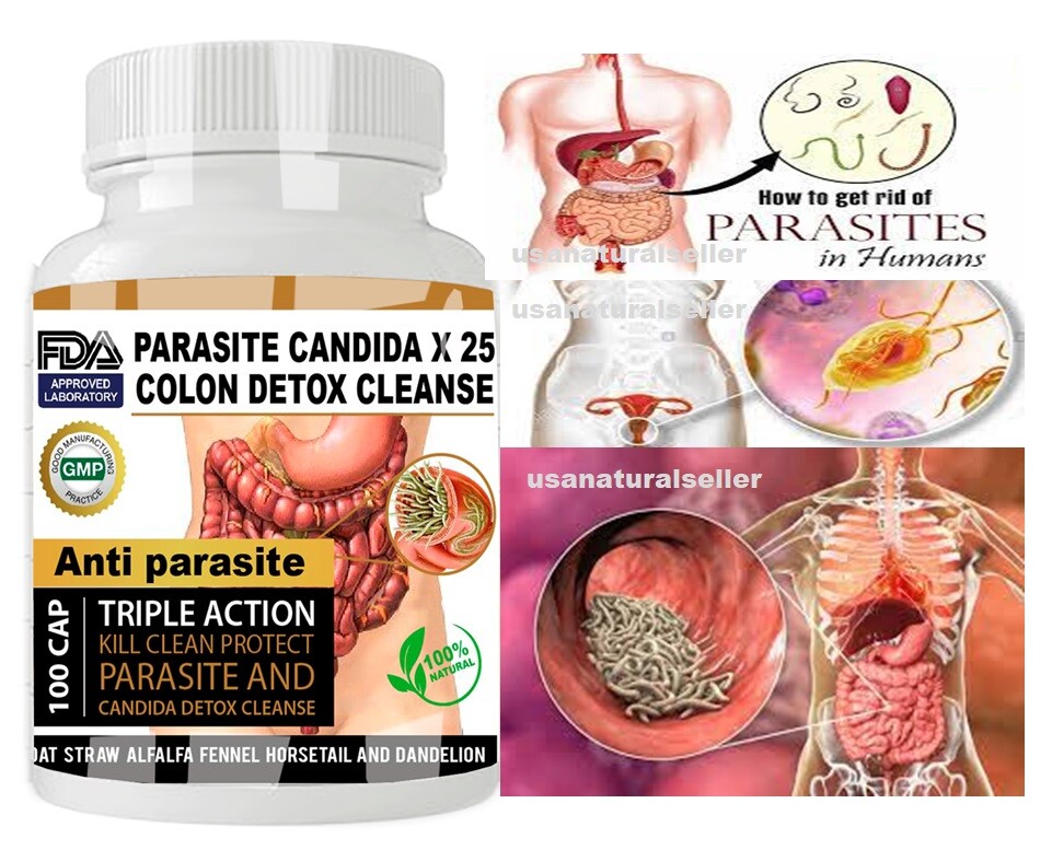 Worm parasite cleanse colon support anti worm detox clean support fungus colon
