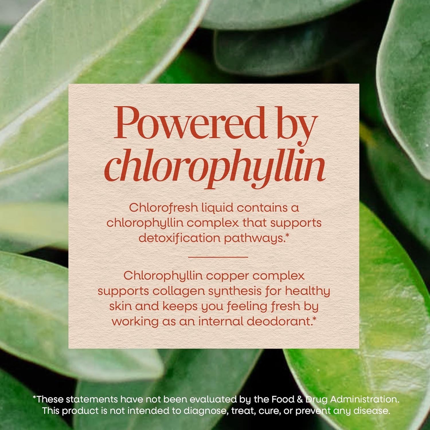 Liquid Chlorophyll Chlorophyllin Copper Complex Nature’s Way Chlorofresh