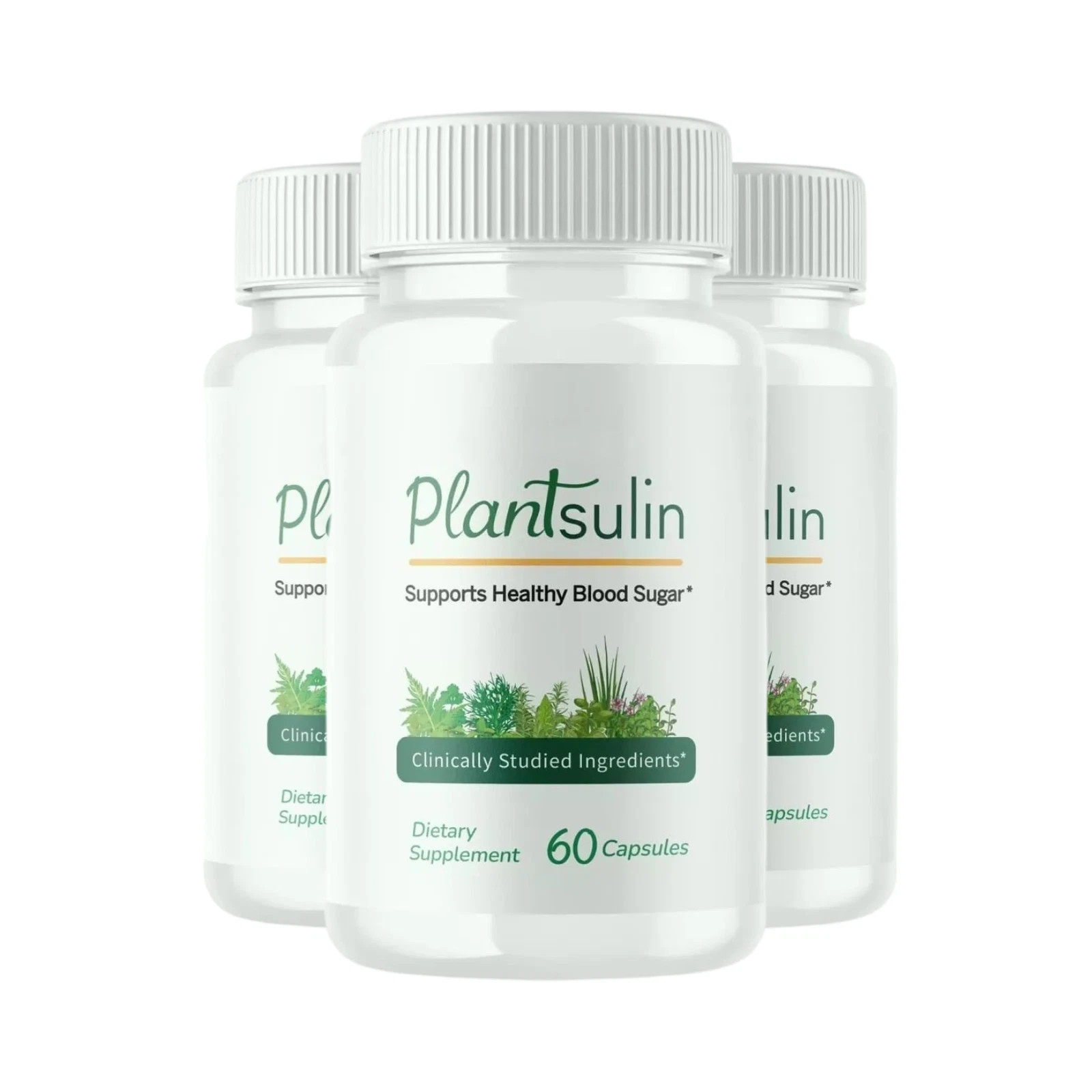 3-Pack Plantsulin for Immune Defense Support and Weight Loss – 180 Capsules