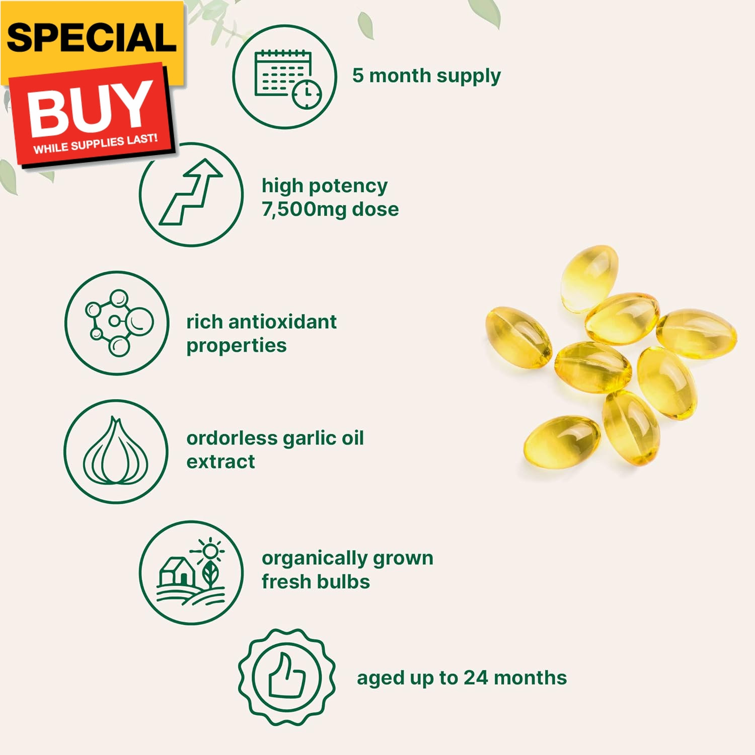 Odorless Garlic 7500mg Per Servings, 300 Softgels | 2 Years Aged Garlic Extract,