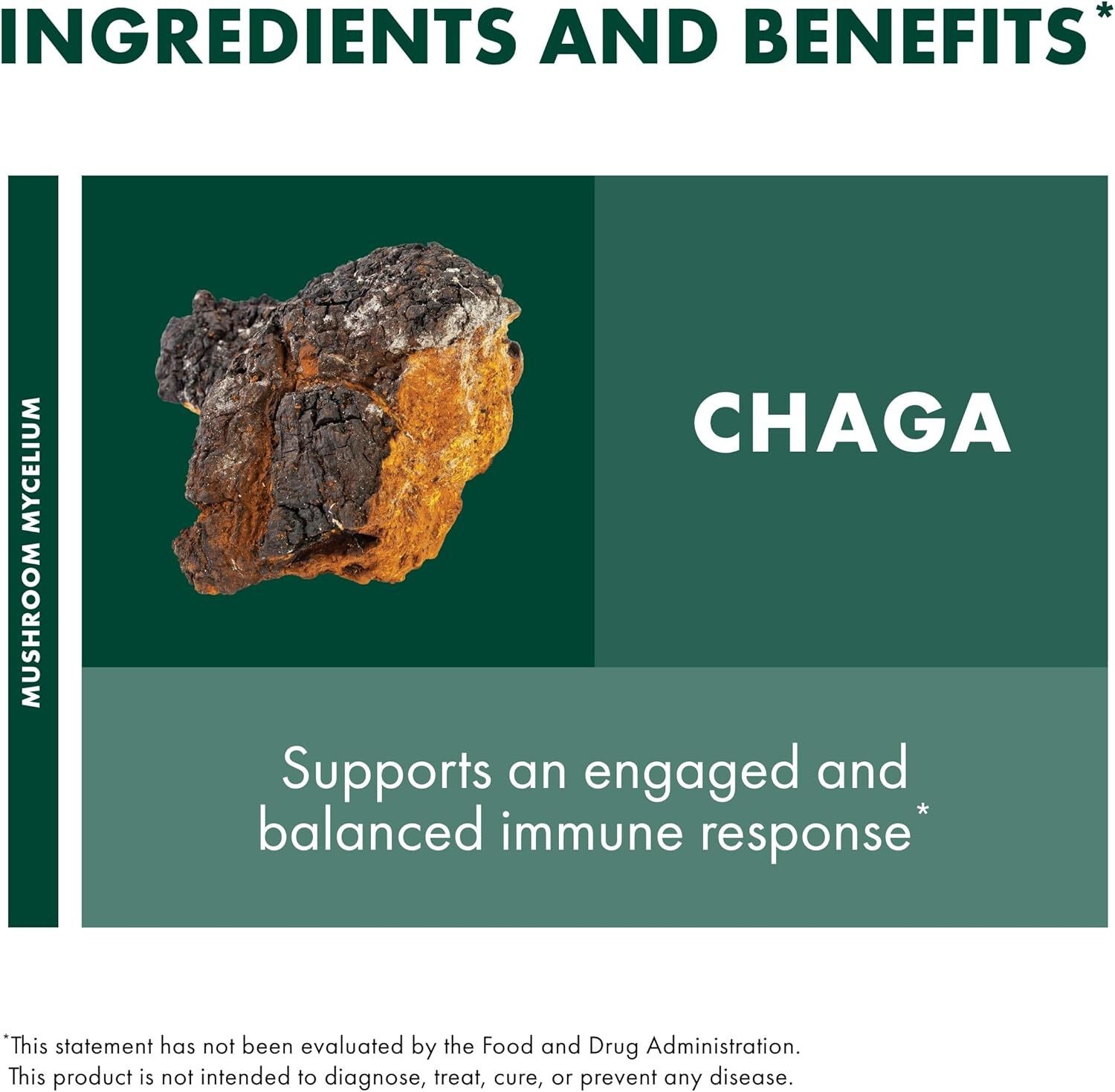 Host Defense Chaga Powder 100 gram EXP 12/28