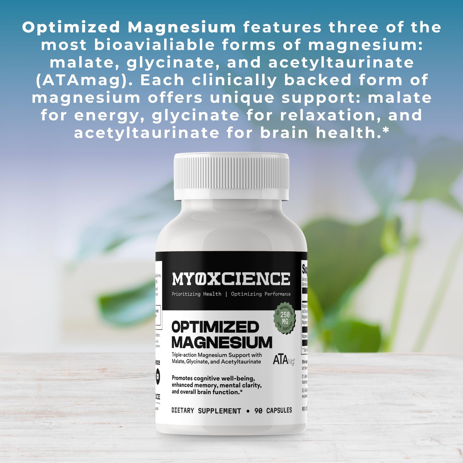 MYOXCIENCE Optimized Magnesium Glycinate + 90 Count (Pack of 1)