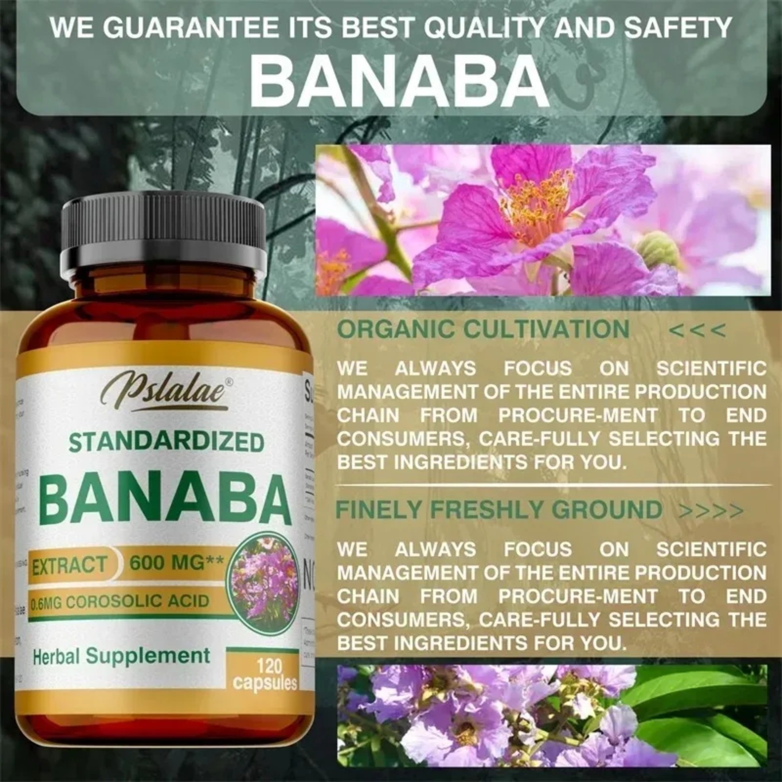 Banaba 240pcs – Supports Heart and Overall Health, Blood Circulation, Metabolism