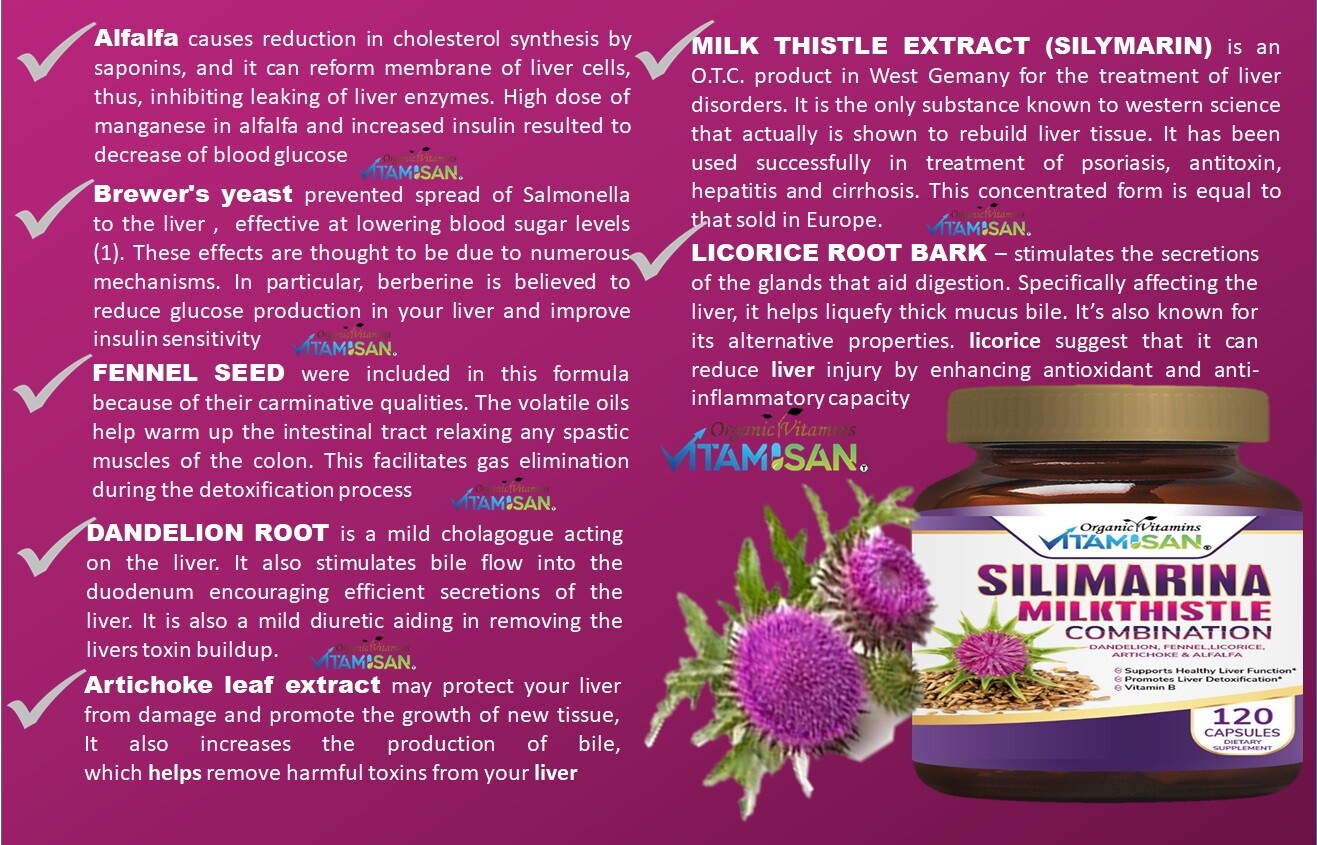 Naturals 3 PACK Milk Thistle Silimarina 120 Capsules Made in USA organic vitamin