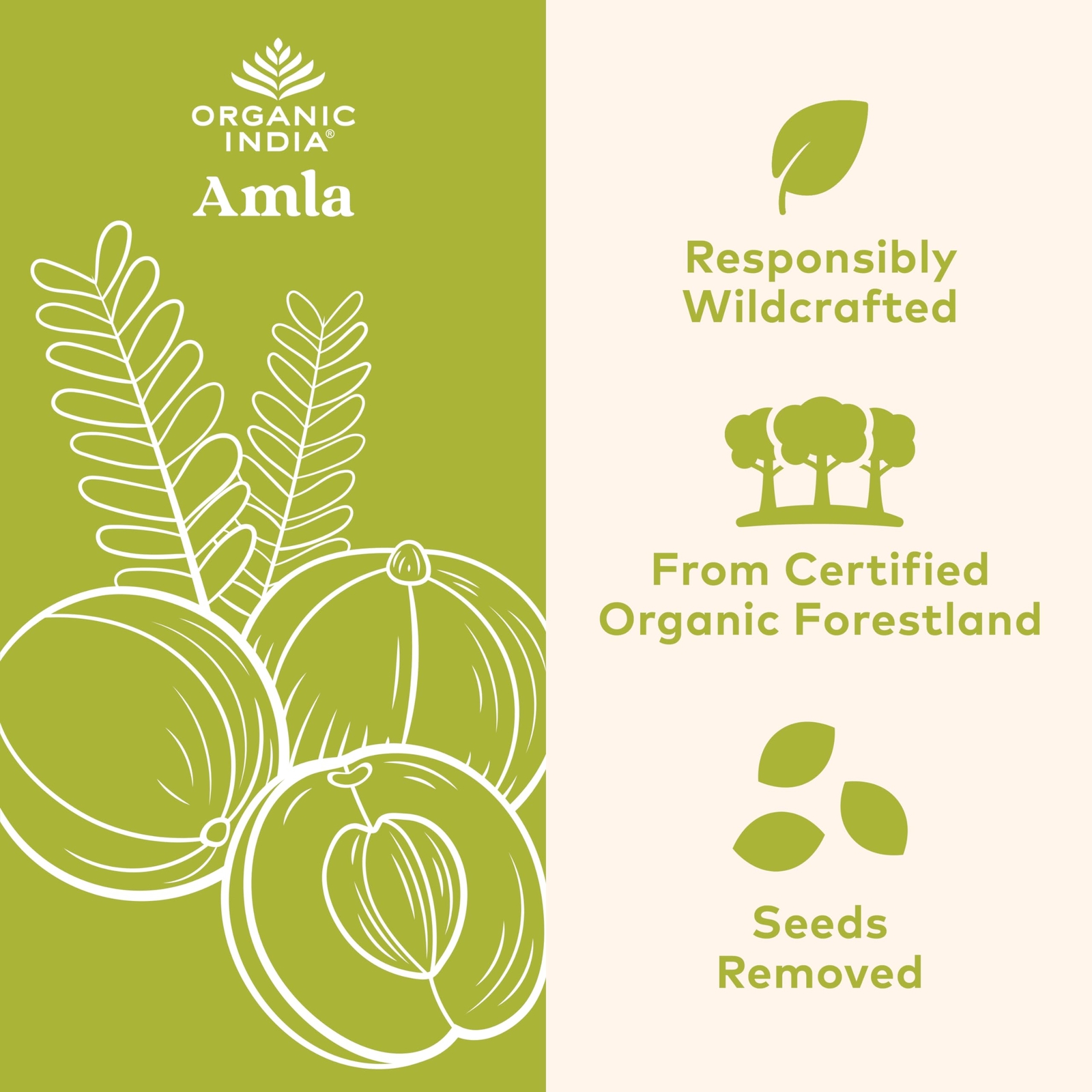 Organic India Amla Supplement 90 Count Stress Immune Detox Heart Health