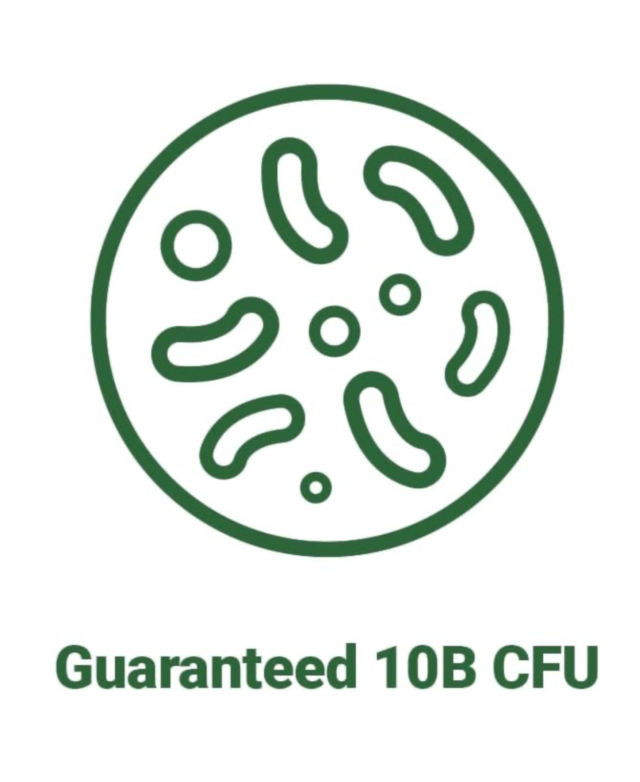 BNRThin S30, Lactobacillus Gasseri BNR17, 10 Billion CFU Guaranteed, 30Capsules