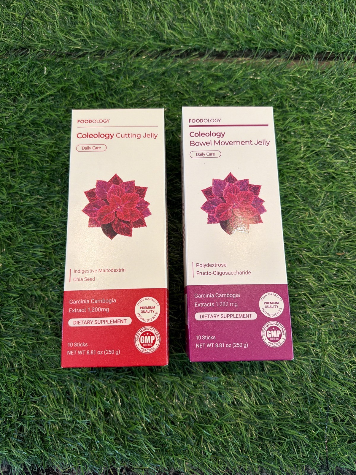 Foodology Coleology Jelly Bundle Bowel Movement Cutting Garcinia Cambogia 10