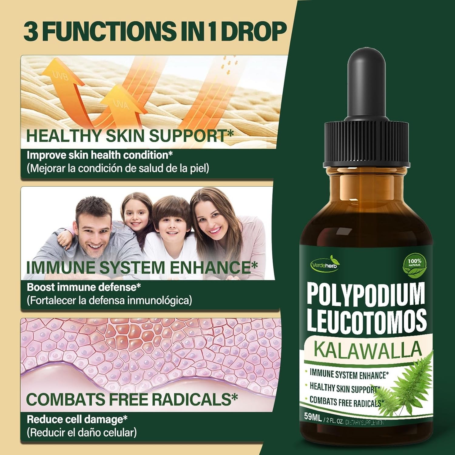 Polypodium leucotomos (Kalawalla Root) Immune Support 2 Fl Oz (Pack of 1)