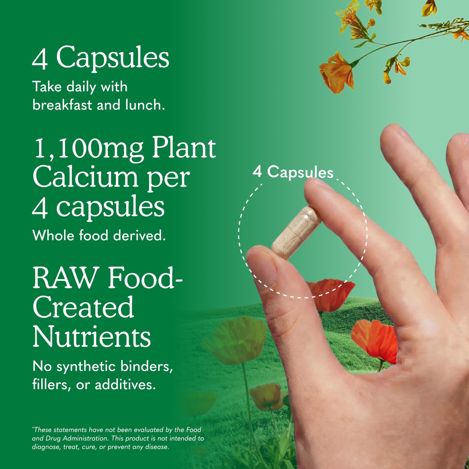 Garden of Life Raw Calcium Supplement w/ Magnesium K2 D3 C Probiotics 120 Caps