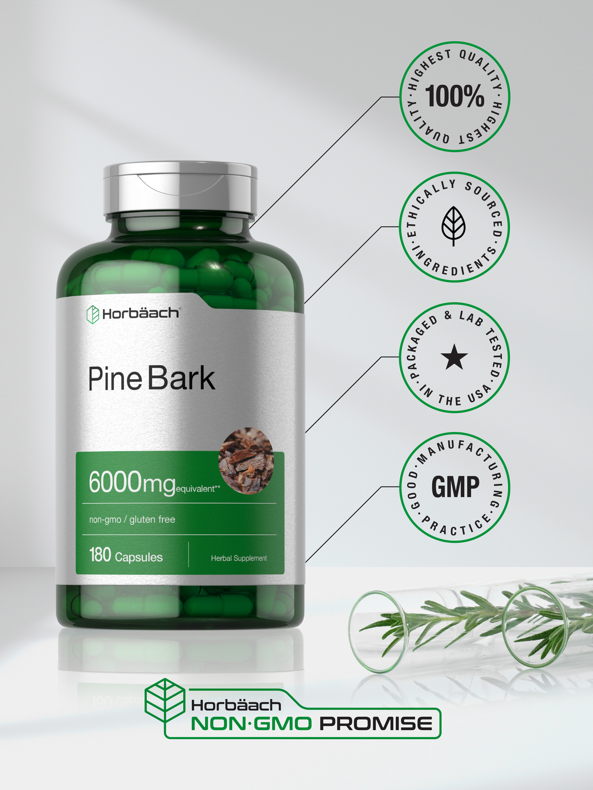 Horbaach Pine Bark Extract 6000 mg | 180 Capsules | Non-GMO, Gluten Free