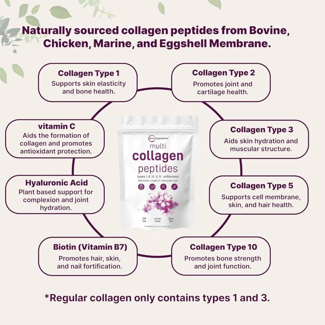 3 PACK Multi Collagen Peptides Powder 1 lb Hydrolyzed Protein Type I II III V X