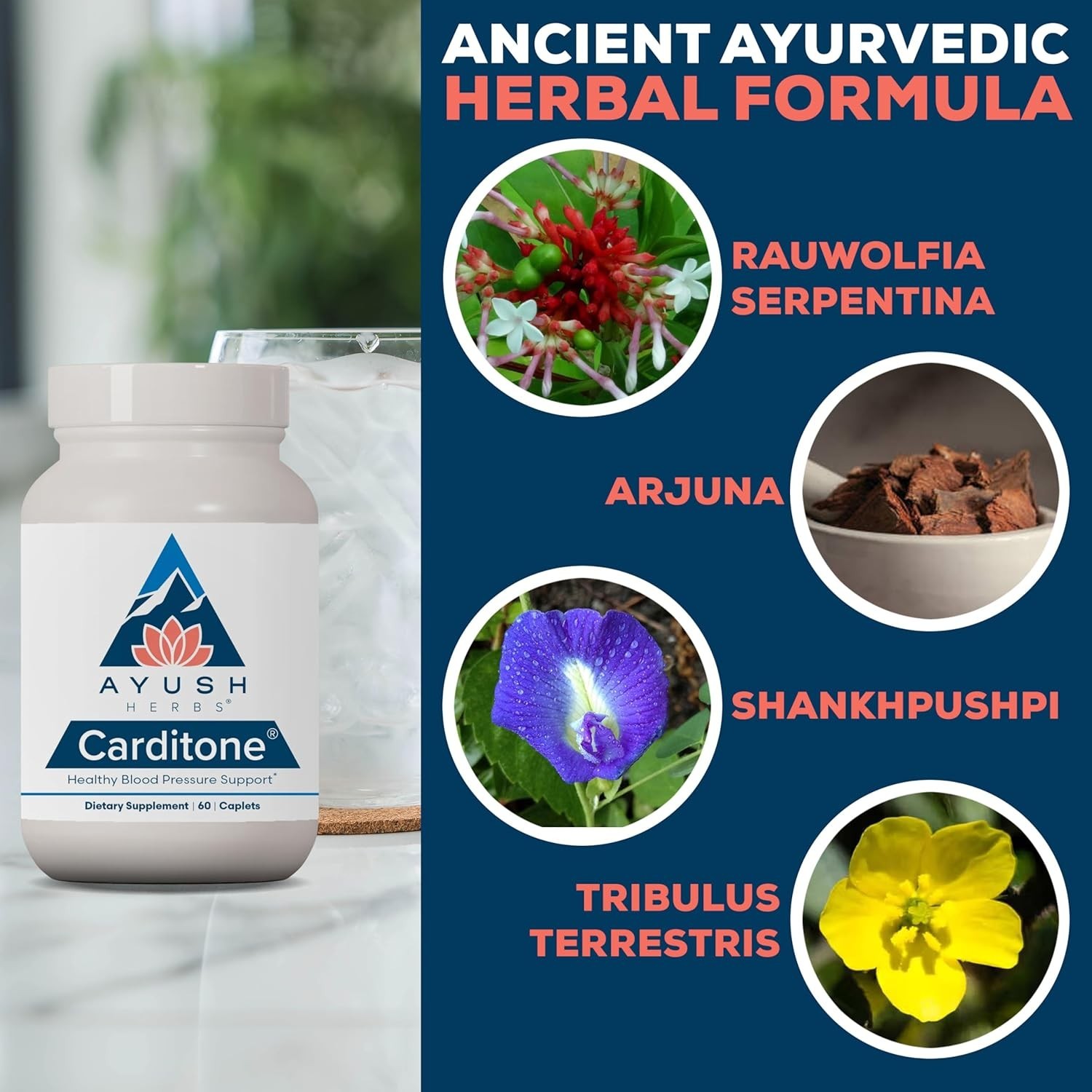 Ayush Herbs Carditone – Natural Heart Health Support Supplement – 60 Servings