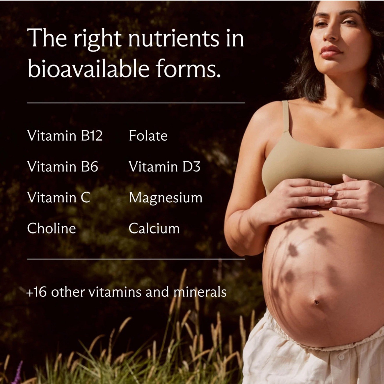 Needed Prenatal Multi Essentials Dietary Supplement 240 Capsules BB 01/2028