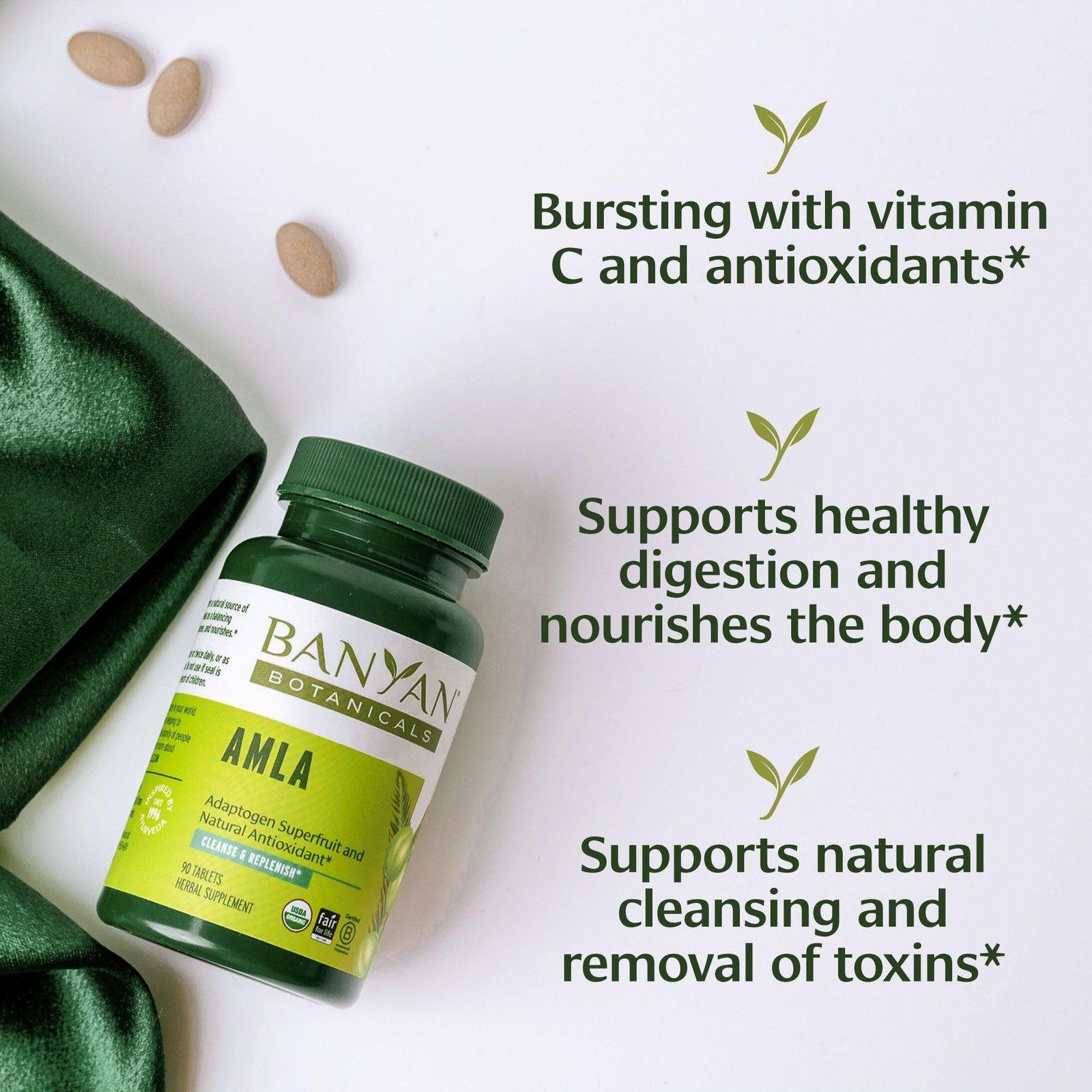 Banyan Botanicals Organic Amla Tablets – Natural Vitamin 90 Count (Pack of 1)