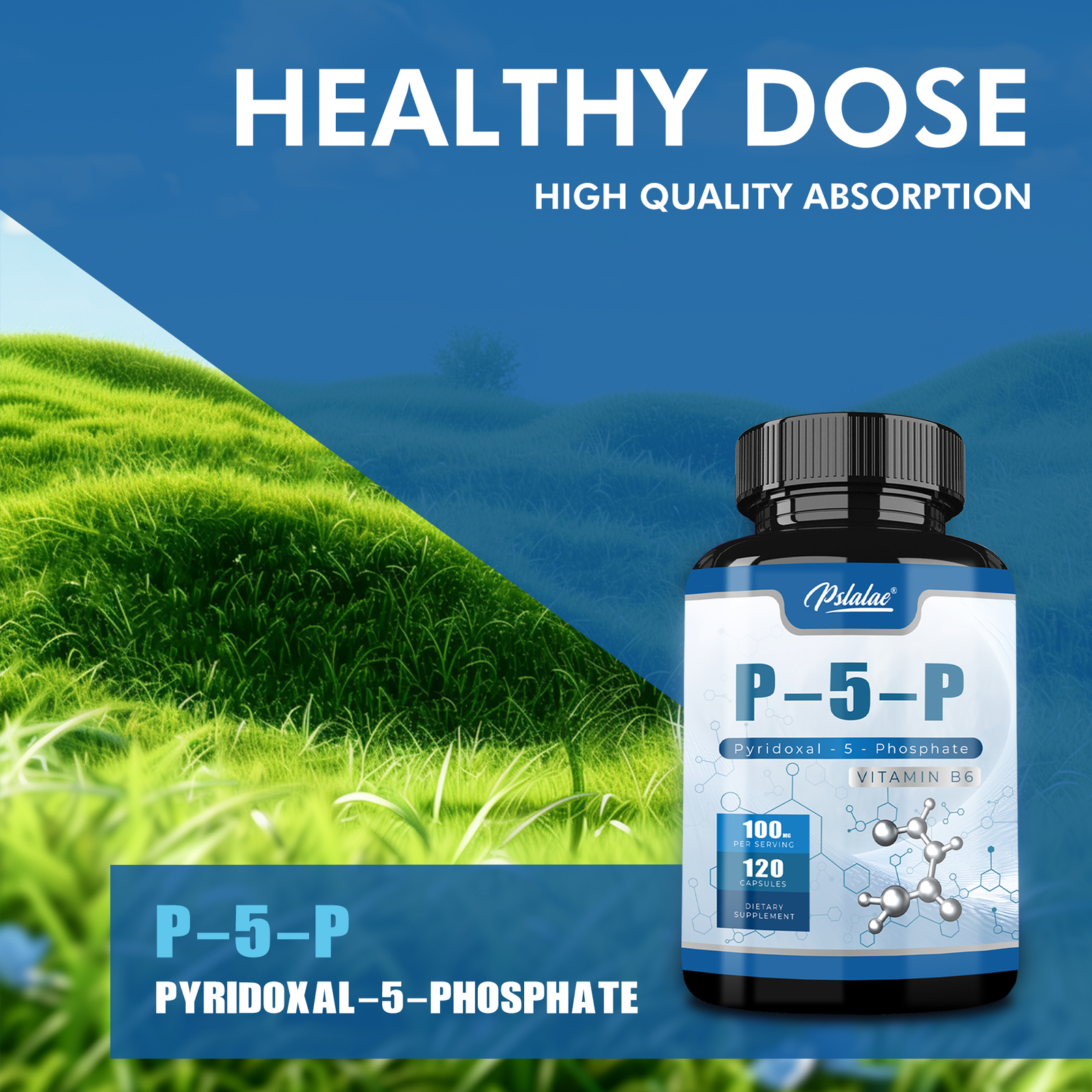 P-5-P Capsules 100mg – Vitamin B6 Supplement, PMS & Fatigue, for Inflammatory