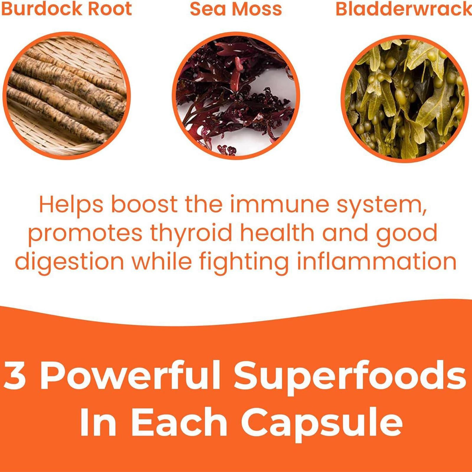 1250mg Sea Moss Upgraded Superfood, High-Potency, Vegan – 60 Count