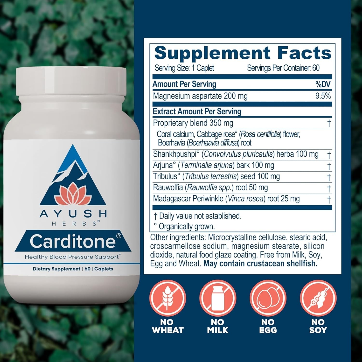 Ayush Herbs Carditone – Natural Heart Health Support Supplement – 60 Servings
