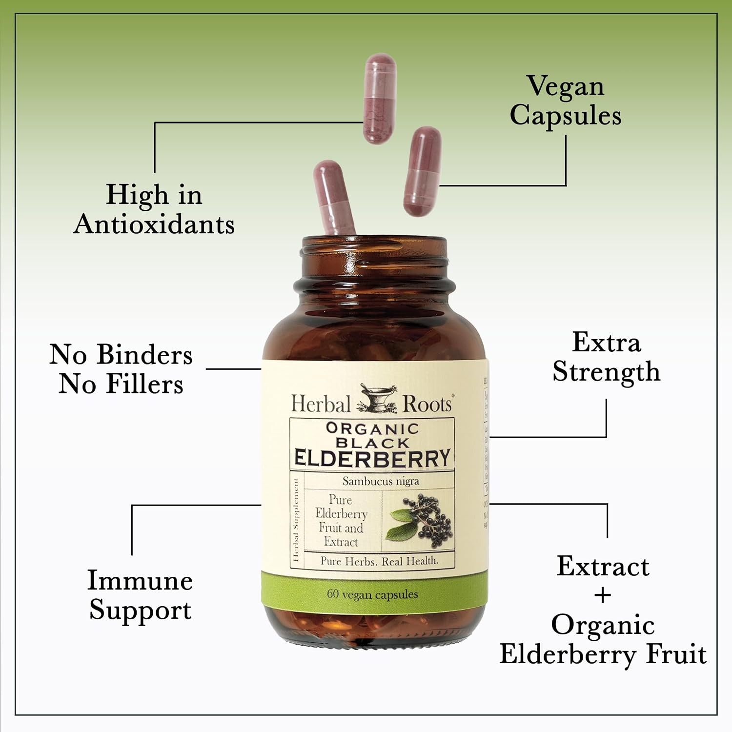 Roots Organic Black Elderberry Capsules – Max Strength – USDA Certified O