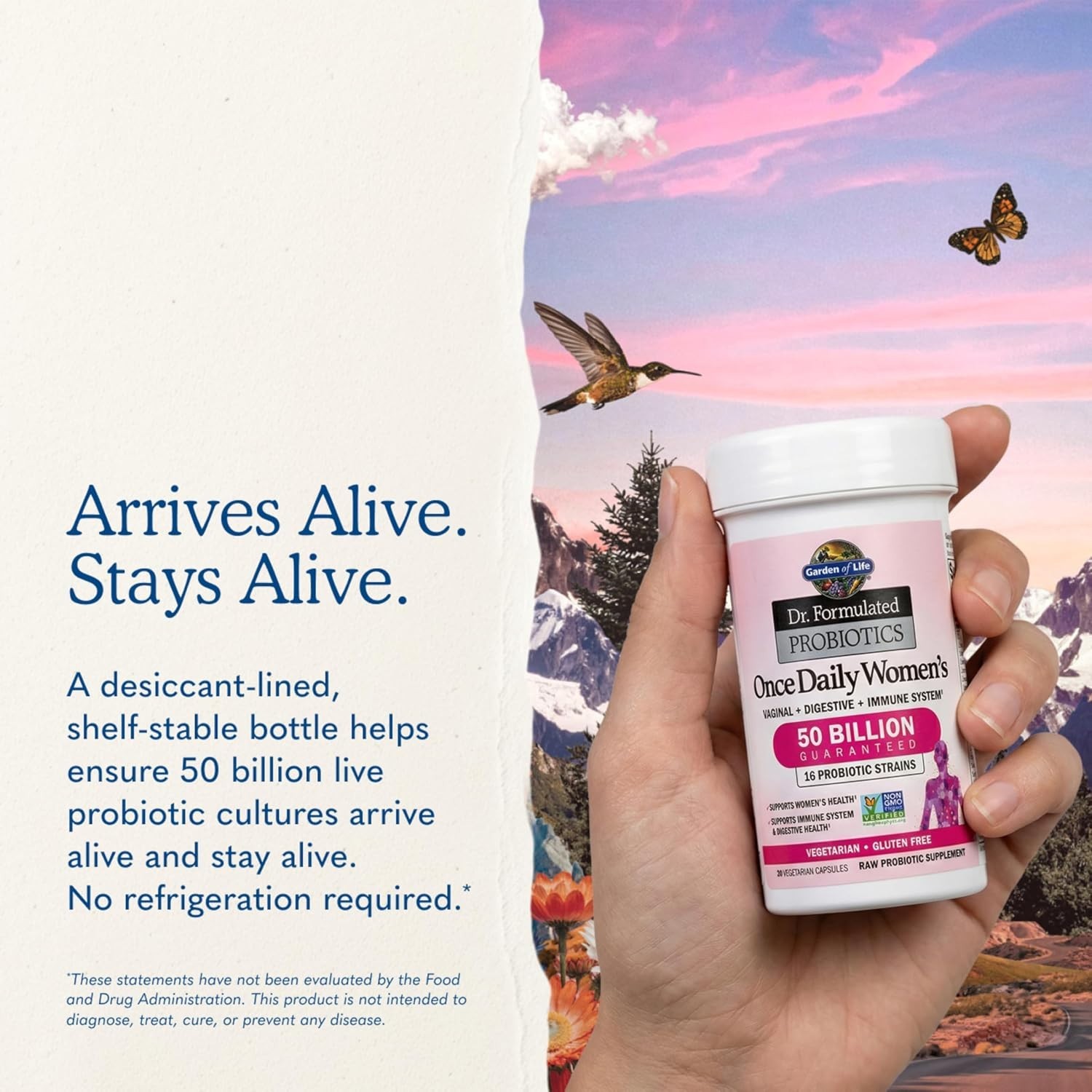 Daily Probiotics for Women with 16 Strains – Supports Digestive & Vaginal Health