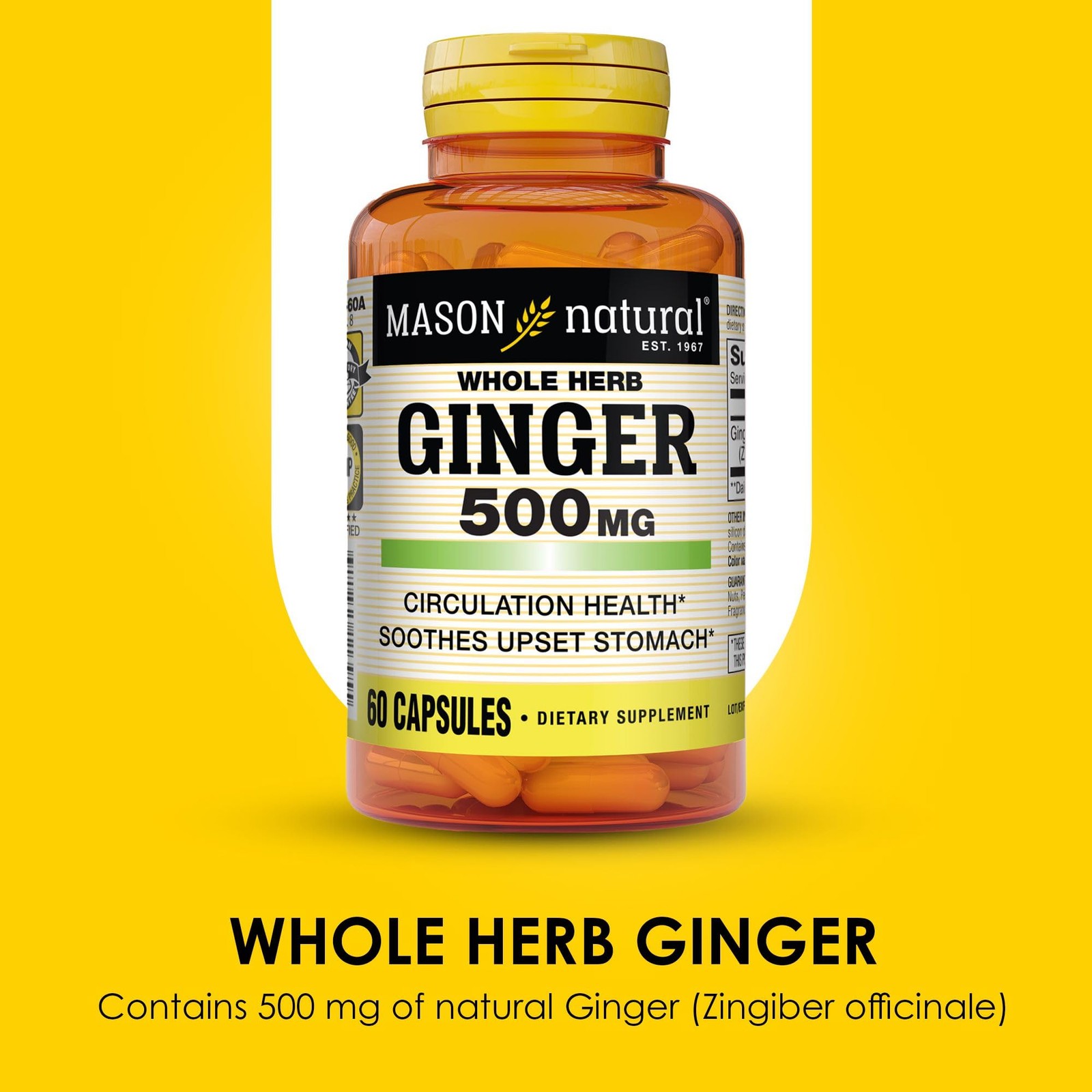 Mason Natural Whole Herb Ginger 500 mg – Healthy Circulation Support and May