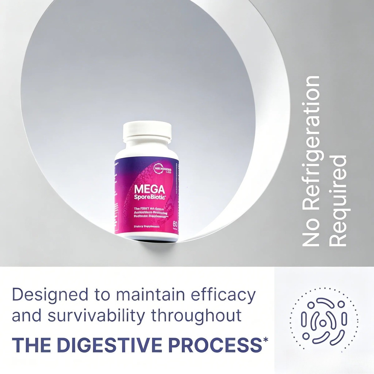 Mega Spore Biotic 60 Caps – Spore Probiotic for Gut Health, for Men & Women