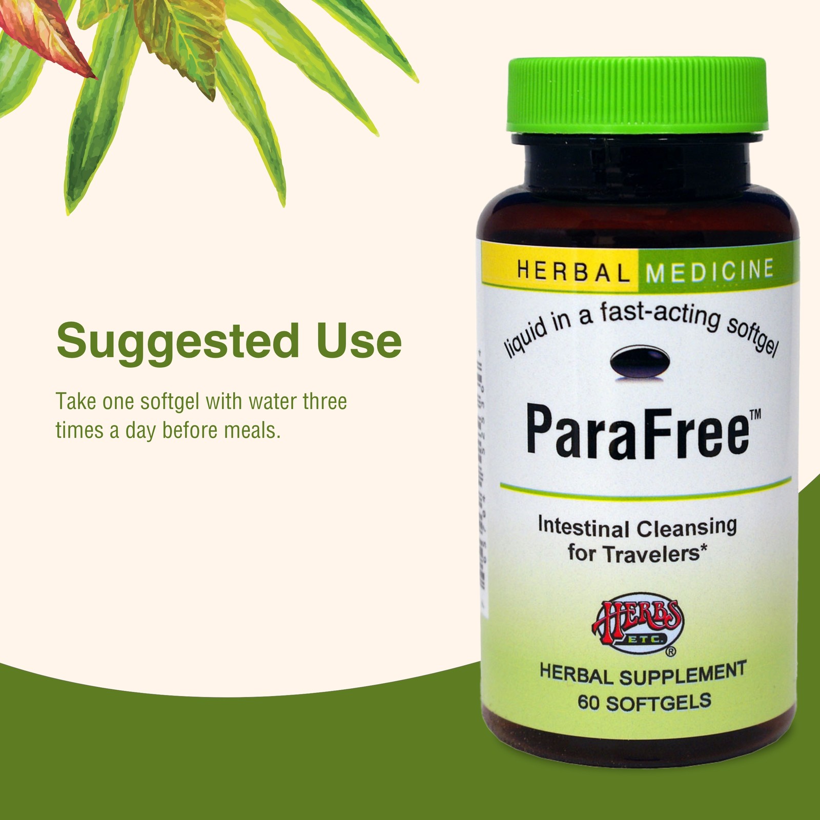 ParaFree Softgels 60 ct Herbs Etc