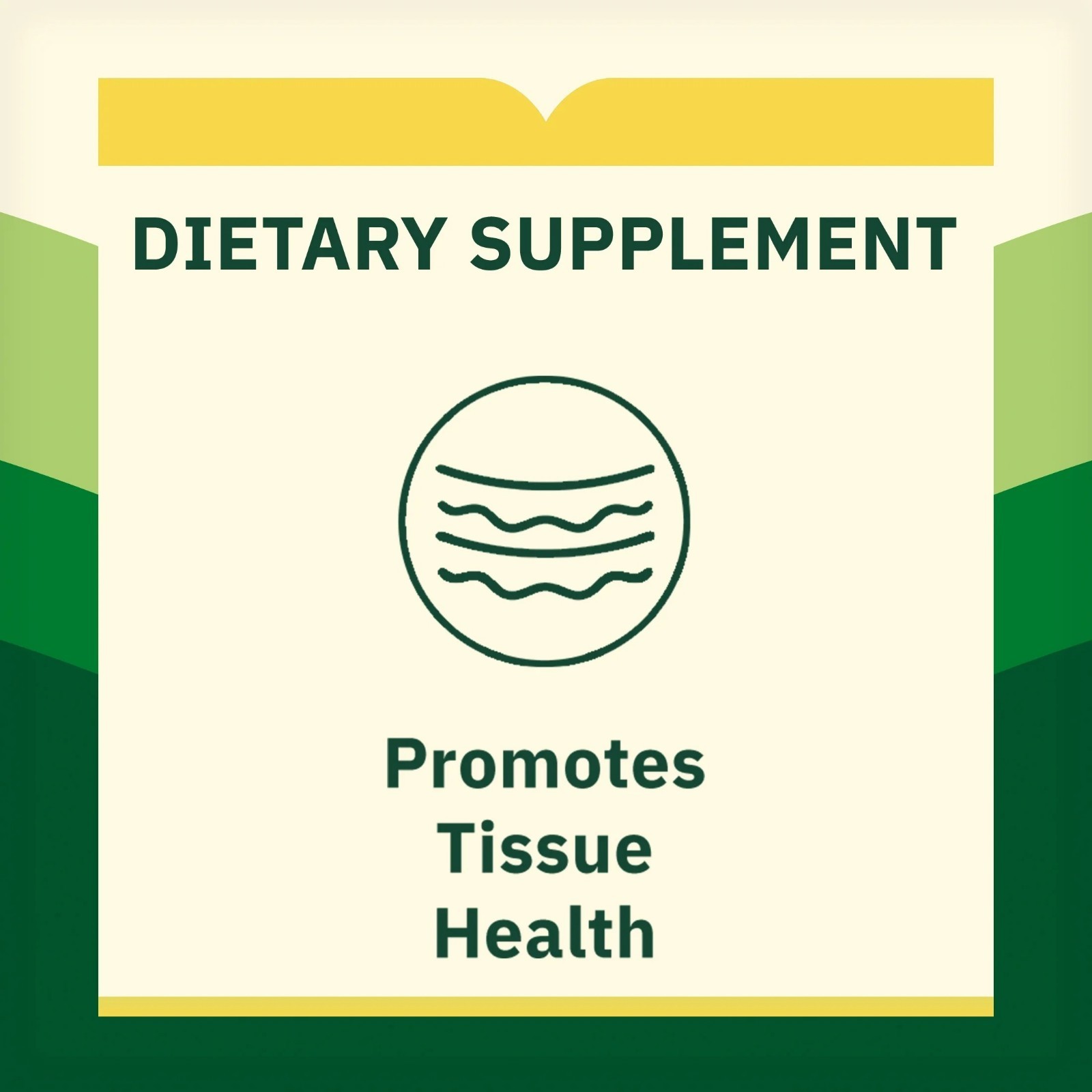 (Pack of 2) Spring Valley L-Lysine Dietary Supplements, 1000 mg, 100 Count