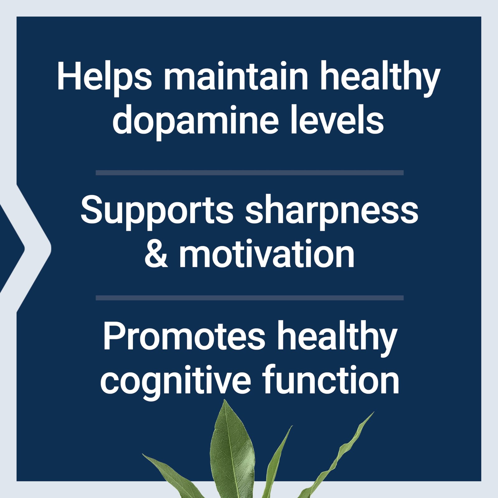 Life Extension Dopamine Advantage, Cognitive 30 Count (Pack of 1), Yellow