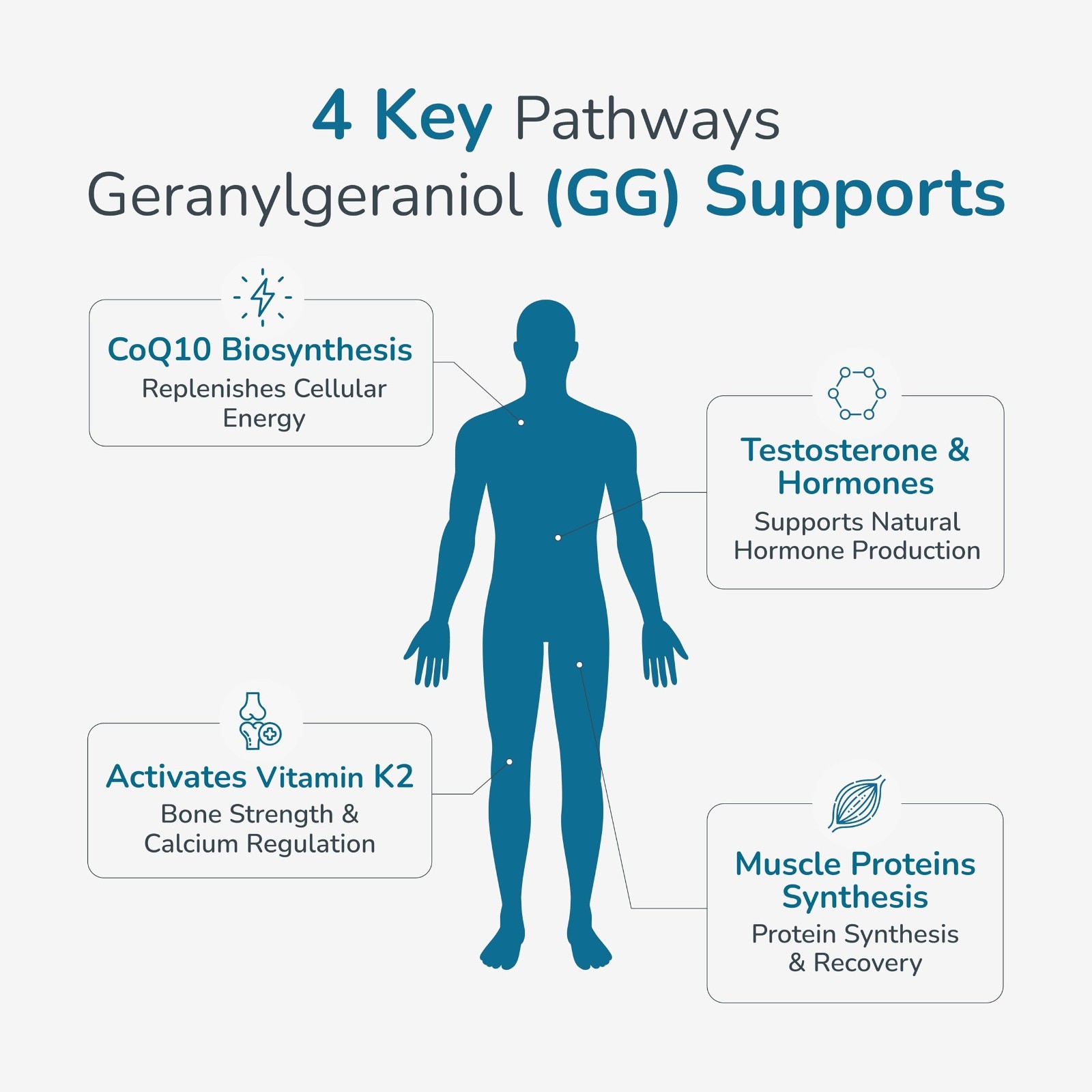 Geranylgeraniol 150mg Supplement for CoQ10 Support, Cellular Energy, Muscle Heal