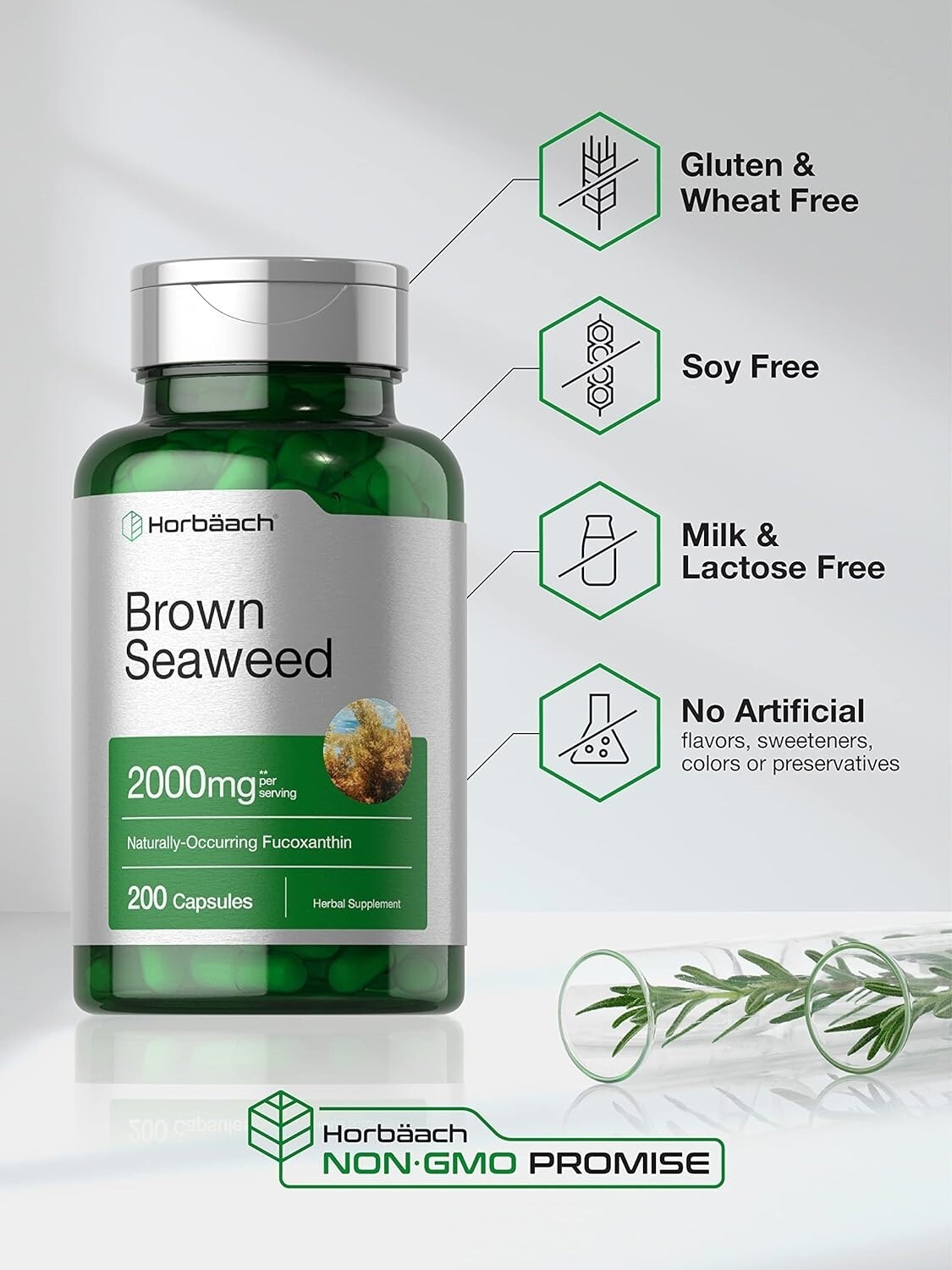 Brown Seaweed Extract 2000 Mg Fucoxanthin Supplement Marine Algae, 200 Capsules