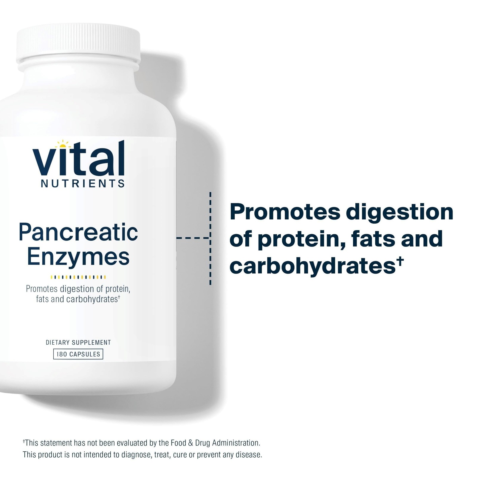 Vital Nutrients Pancreatic Enzymes 1000mg (Full Strength) | Pancreatin Digest…