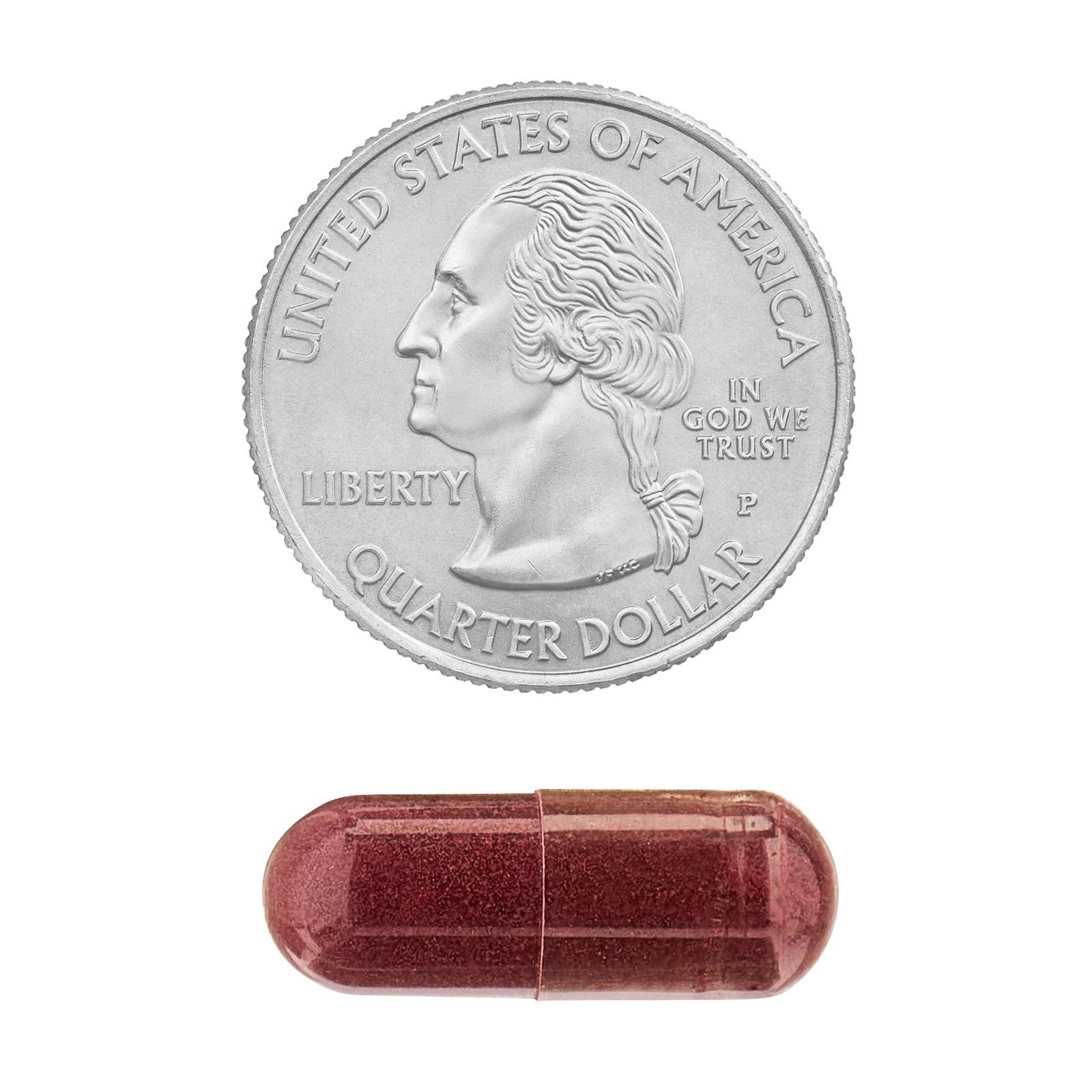 Beet Root 1000 Mg Superfood Energy Endurance General Wellness Support, 90 Caps