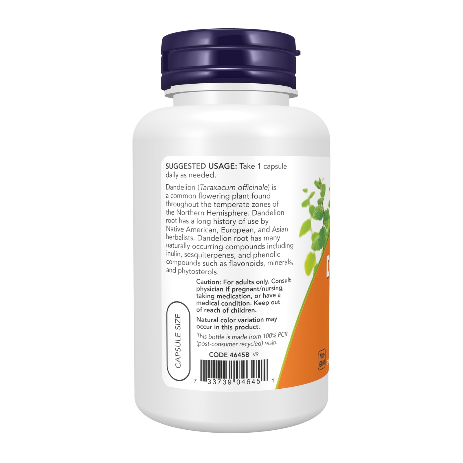 NOW Foods Supplements, Dandelion Root 100 Count (Pack of 1), Light Brown